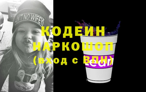 винт Инта
