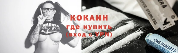винт Инта