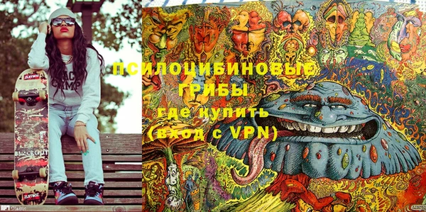 не бодяженный Иннополис