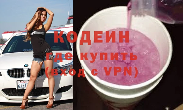 винт Инта