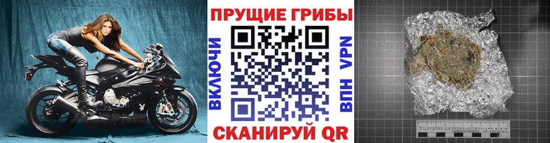Галлюциногенные грибы Magic Shrooms  Купить где  Ессентукская 